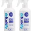 Laundry Stain Remover Spray Review Dune Sciences ProvenSafe Formula Tested