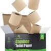 61LjUMbVbML.__AC_SX300_SY300_QL70_ML2_ Bamboo Story Bamboo Toilet Paper Review Eco-Friendly Softness and Strength Explored