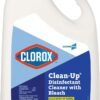 Clorox Clean-up Cleaner + Bleach Original Review Best All-Purpose Household Cleaner Insights