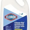 Clorox Clean-up Cleaner + Bleach Original Review Best All-Purpose Household Cleaner Insights