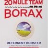 710q6XY8wL._AC_SY300_SX300_ Borax 20 Mule Team Powder Detergent Review Boosting Laundry Power Effectively