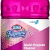 Fraganzia Multi-Purpose Cleaner CloroxPro Review Fresh Scent Lasts All Day