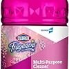 Fraganzia Multi-Purpose Cleaner CloroxPro Review Fresh Scent Lasts All Day
