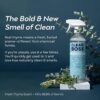 CleanBoss Botanical Disinfectant Review Fast Acting Multi Surface Cleaner Kills Germs