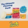 Scrub Daddy Household Cleaning Supplies Bundle Review PowerPaste Sponges and Multi Cleaner