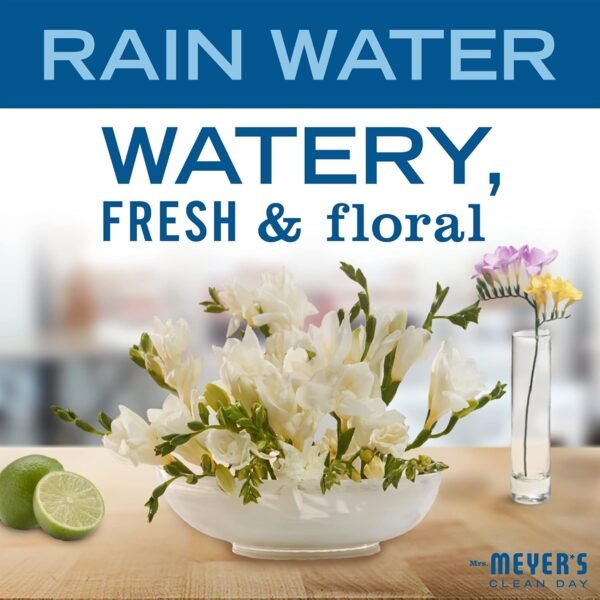 71RQmhjoaYS._AC_SL1500_ Mrs Meyers Clean Day Liquid Dish Soap Rain Water Review Biodegradable Formula Benefits