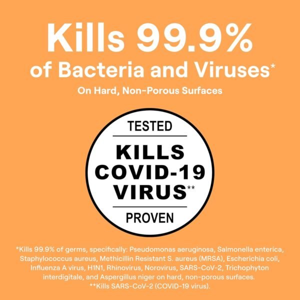 Seventh Generation Multi Purpose Cleaners Review Kills Germs Leaves Fresh Lemongrass Scent