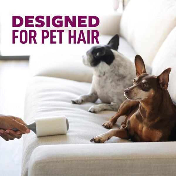 71gVgK17ICL._AC_SL1500_-1 Scotch-Brite Pet Extra Sticky Hair Lint Roller 6 Rollers 600 Sheets