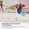 BISSELL Pet Pro Oxy Stain Destroyer Review Best Carpet Stain Precleaner for Pets
