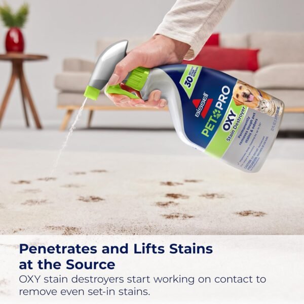 BISSELL Pet Pro Oxy Stain Destroyer Review Best Carpet Stain Precleaner for Pets