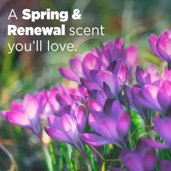 816scg764PL._AC_SL1500_ Tide Power Pods Laundry Detergent Review Unveils Ultimate Freshness and Odor Elimination