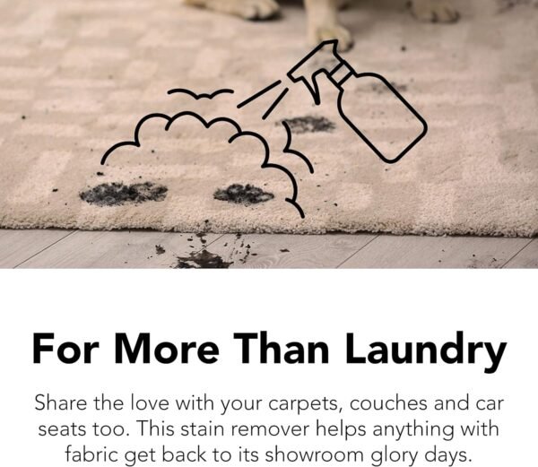 Laundry Stain Remover Spray Review Dune Sciences ProvenSafe Formula Tested