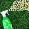 Method Antibacterial All-Purpose Cleaner Bamboo Review Kills 99.9 Percent Germs Effectively