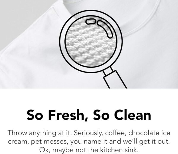 Laundry Stain Remover Spray Review Dune Sciences ProvenSafe Formula Tested