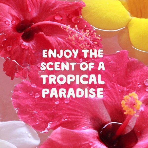 Gain Liquid Fabric Softener Review Discover Premium Softness and Happy Tropical Scent Experience