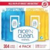 81PsmEQ-cDL.__AC_SY300_SX300_QL70_ML2_ Nice N Clean Disinfecting Wipes Review Best Household Disinfectant Wipes by Nice-Pak