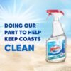 81QqWtlelhL._AC_SL1500_ Windex Vinegar Glass Cleaner Review Reveals Powerful Streak-Free Shine and Eco-Friendly Bottle