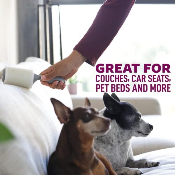 81jnMLFFNL._AC_SL1500_-1 Scotch-Brite Pet Extra Sticky Hair Lint Roller 6 Rollers 600 Sheets