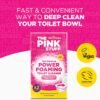 Deep Cleaning Toilet Cleaner Review Stardrops Pink Stuff Miracle Foam Power